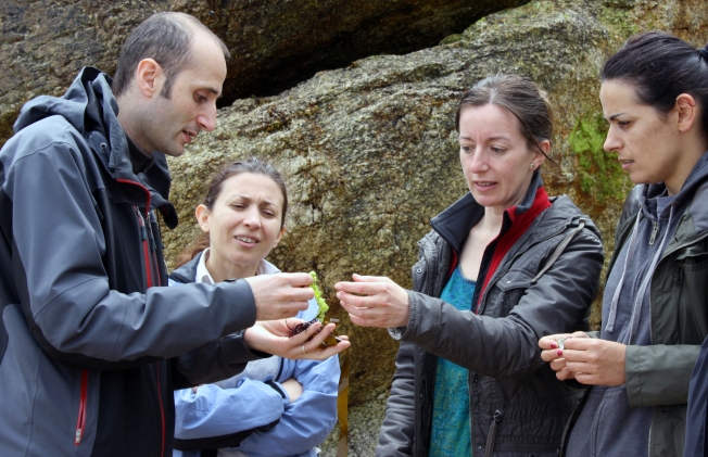 O biólogo César López amosa algunhas das especies de algas da beiramar coruñesa